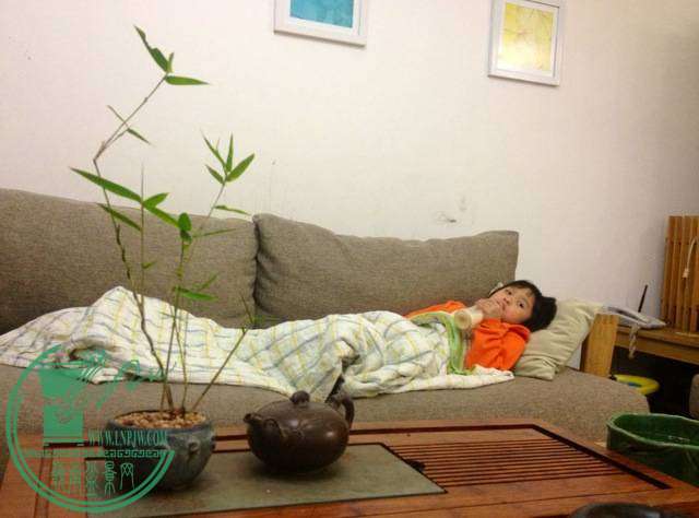 zzzzzzzzzzzzzzzzzzzzzzz 002.jpg