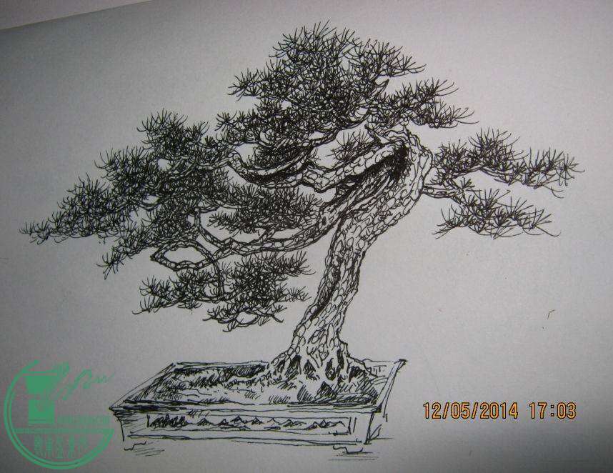 QQͼƬ20141205173808.jpg