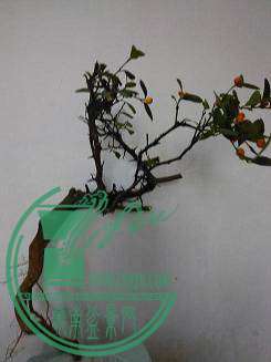 IMG_20141206_164116.jpg