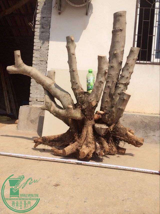 AESCQIU.jpg