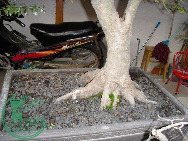 С SDC14245.JPG