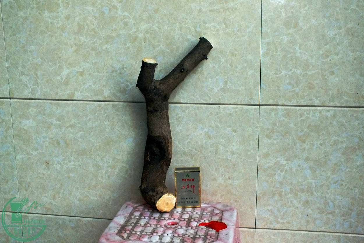 002.JPG