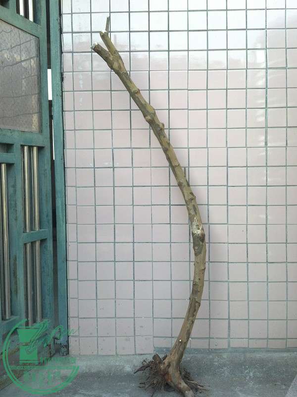 2014-12-20_16-06-29_881_www.moumu.com.jpg
