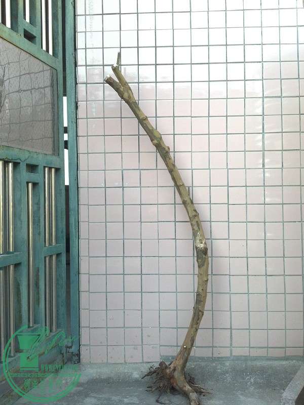 2014-12-20_16-06-58_475_www.moumu.com.jpg