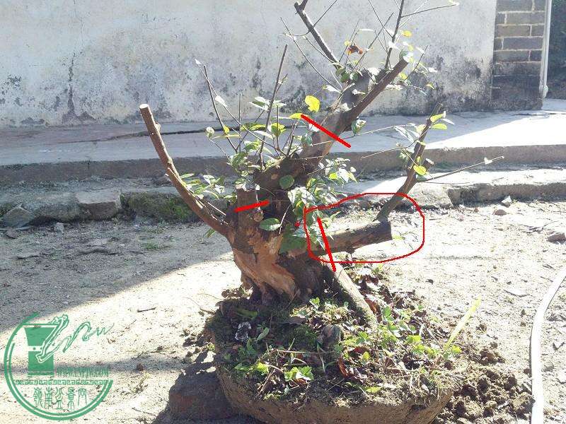 2014-12-21_11-59-42_553_www.moumu.com.jpg