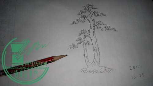 IMG_20141223_191505_СС.jpg