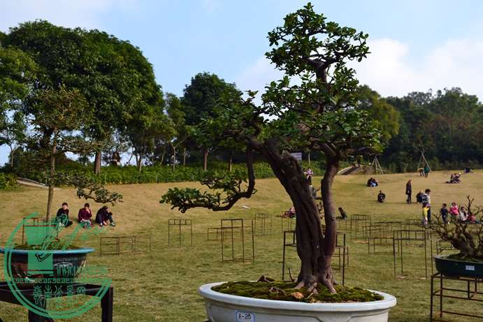 Ƭ 070.jpg