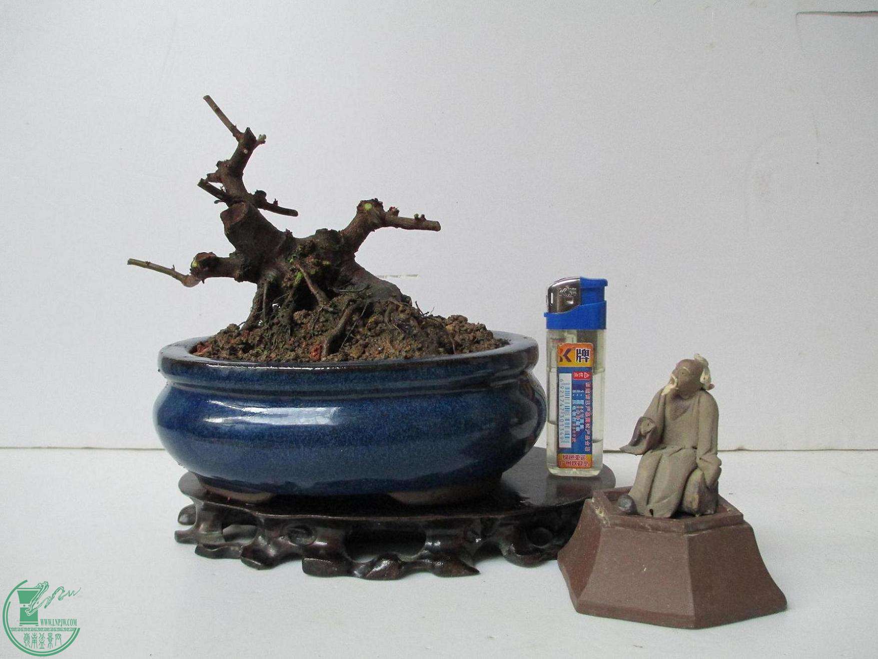 Ƭ 1029.jpg