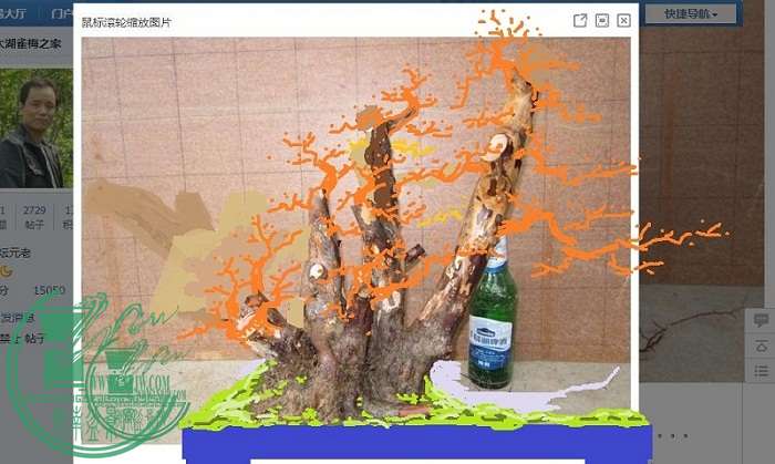 360ͼ20141230222425337 -  -  - .jpg