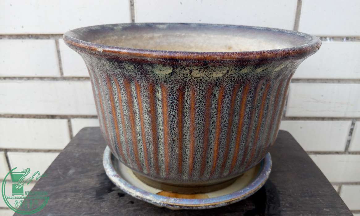 P41231-143343_С.jpg