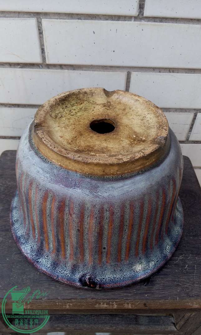 P41231-143404_С.jpg