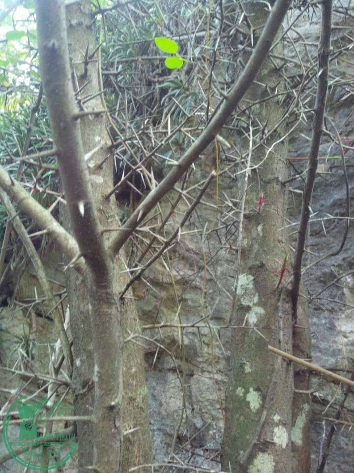 QQͼƬ20141231235340.jpg