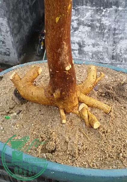 5_.jpg