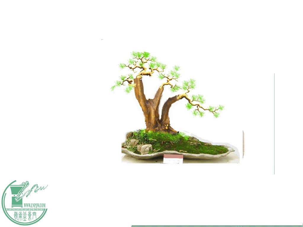 P1120651__.jpg
