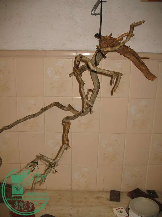 021.JPG