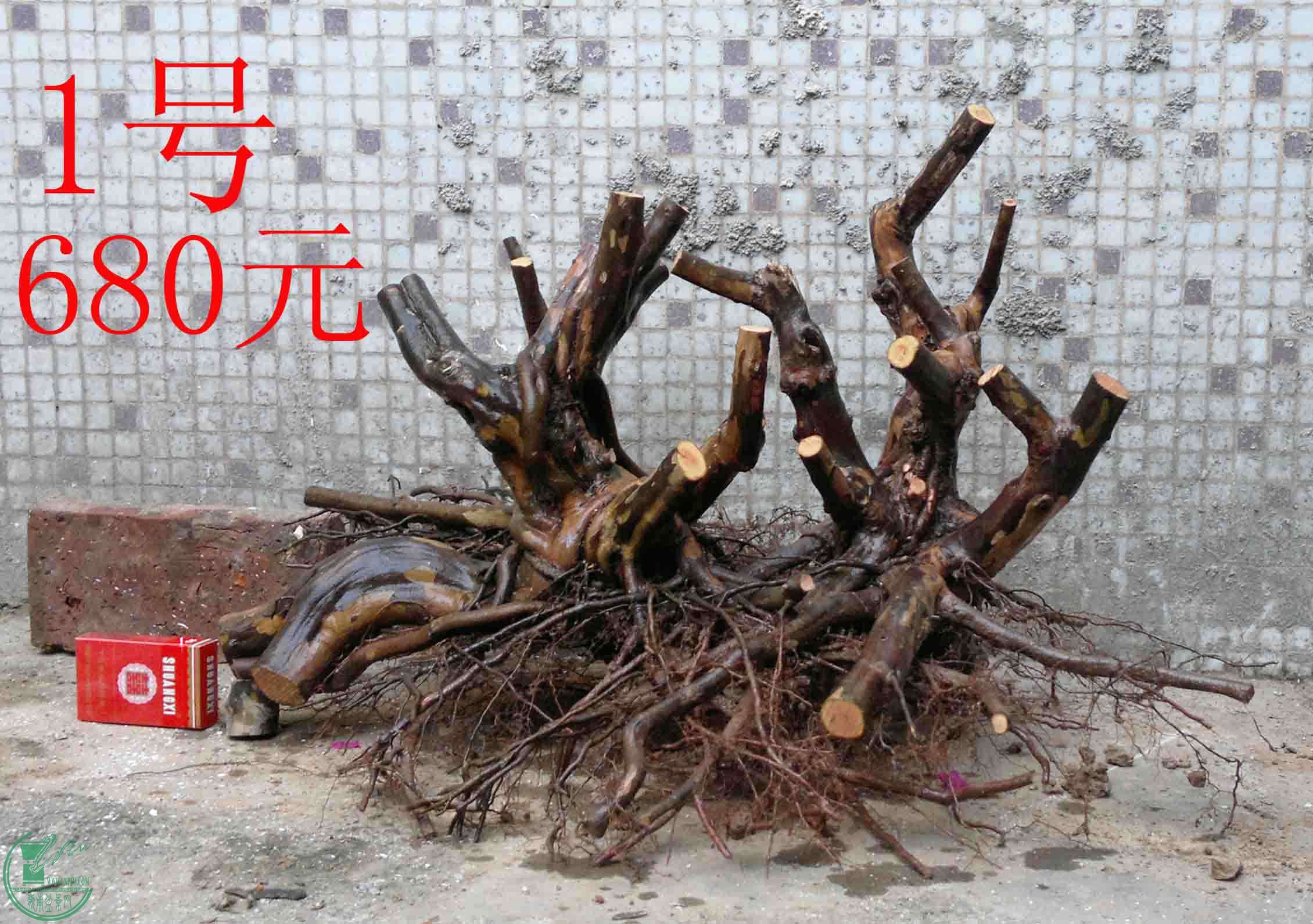 20150102875.jpg