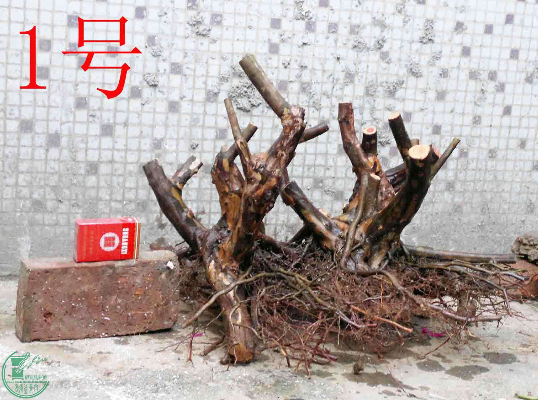 20150102890.jpg