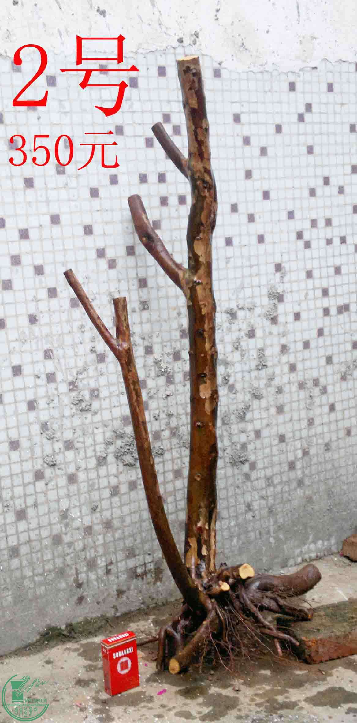20150102893.jpg