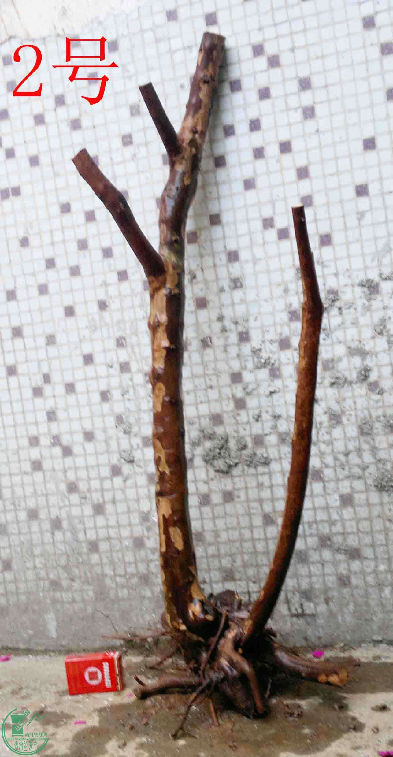 20150102896.jpg