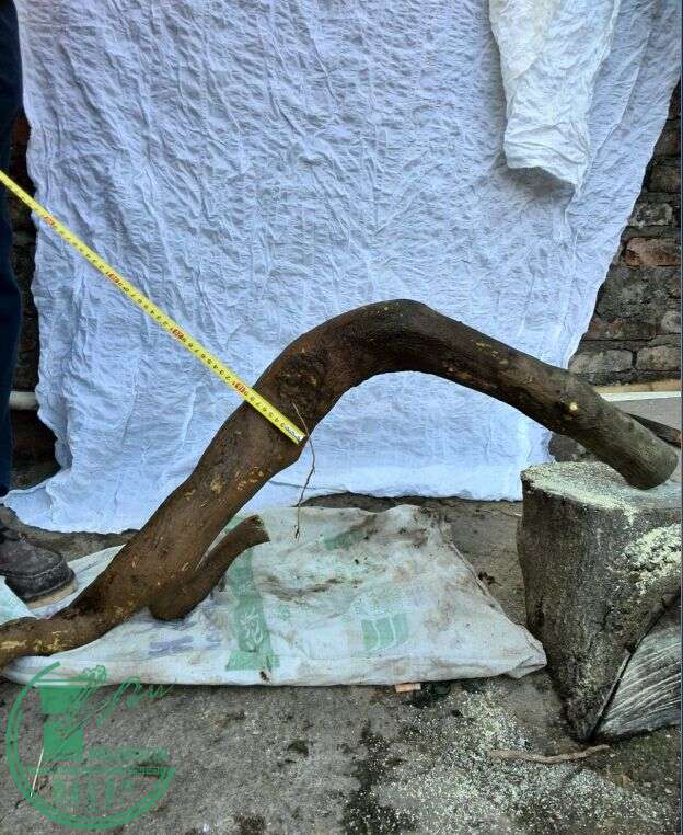3220
