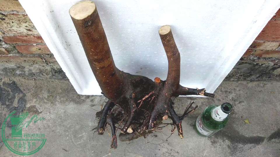 QQ0150103194626.jpg