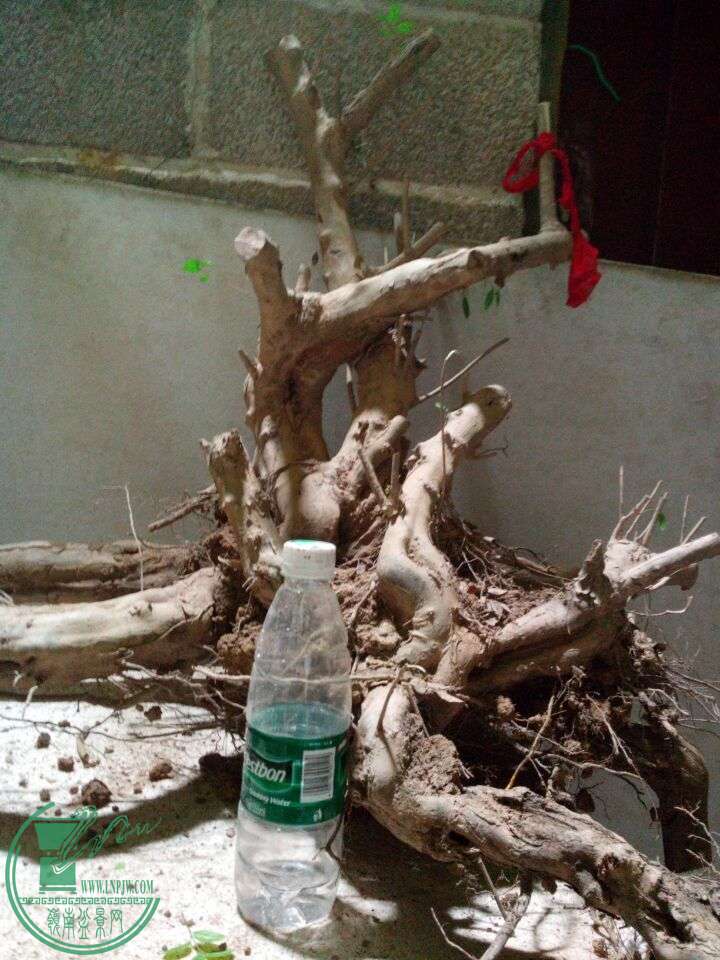 QQͼƬ20150103234210.jpg