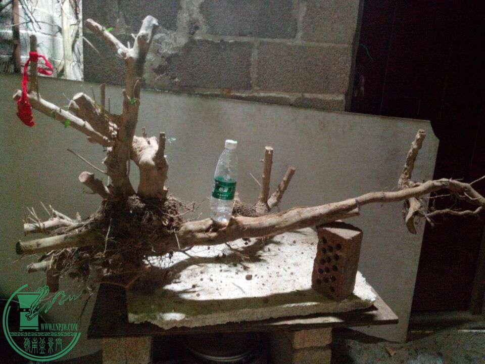 QQͼƬ20150103234243.jpg