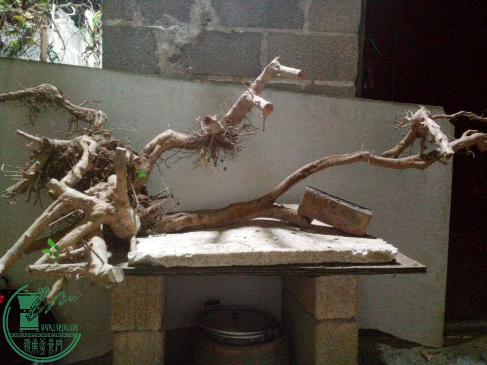 QQͼƬ20150103234305.jpg