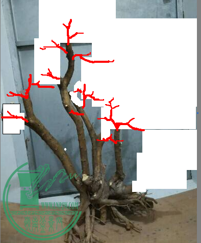 QQͼƬ20150104194507.png