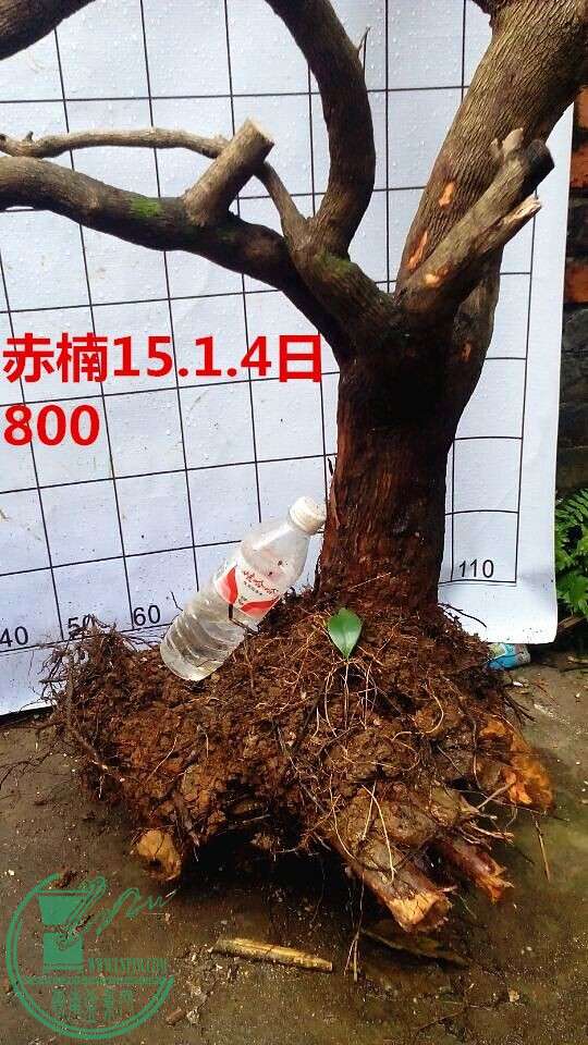 QQͼƬ20150104210551.jpg