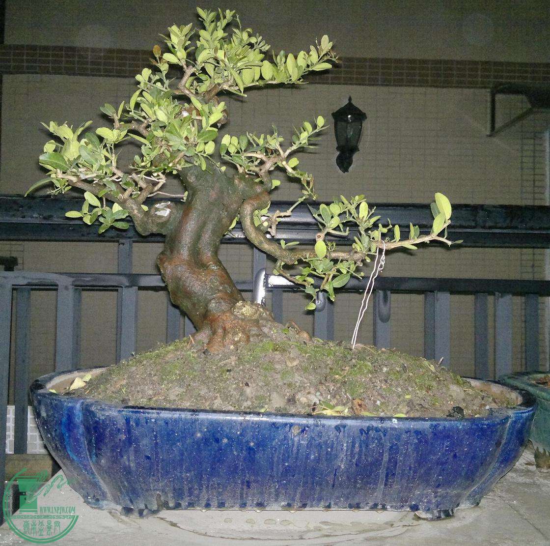 201501042319.jpg