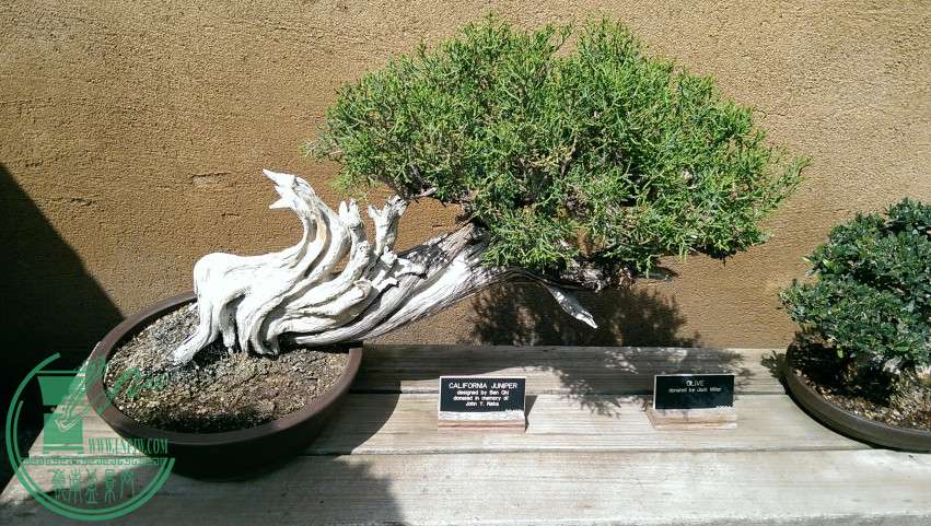 IMAG0632.jpg