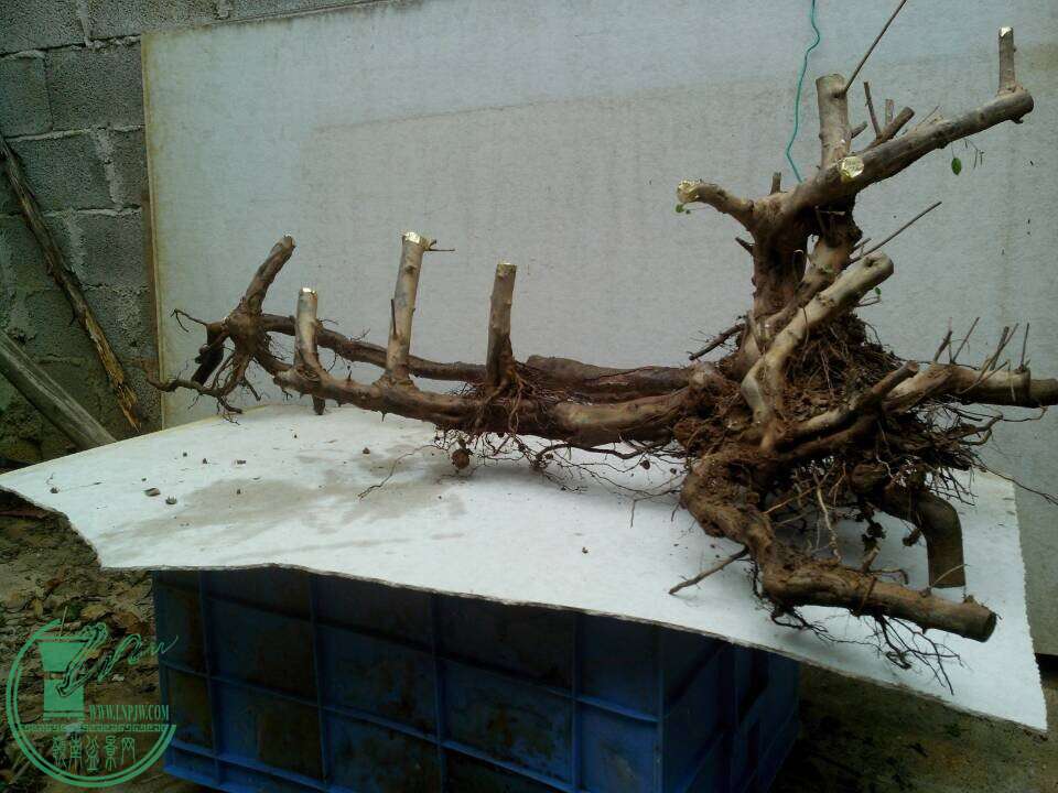 QQͼƬ20150105192850.jpg