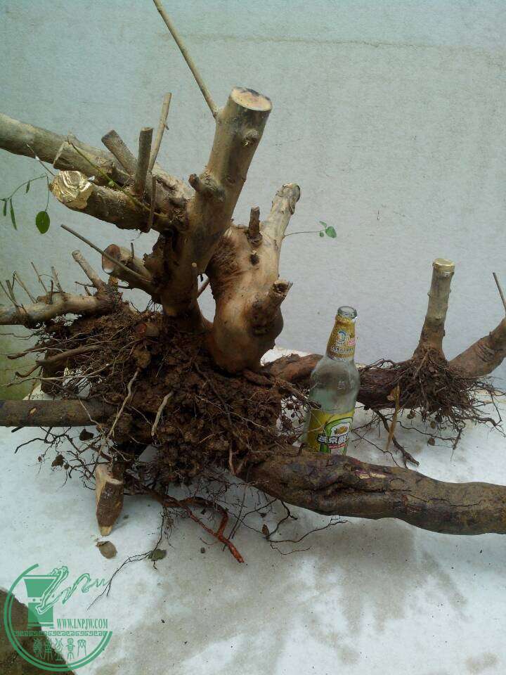 QQͼƬ20150105192828.jpg