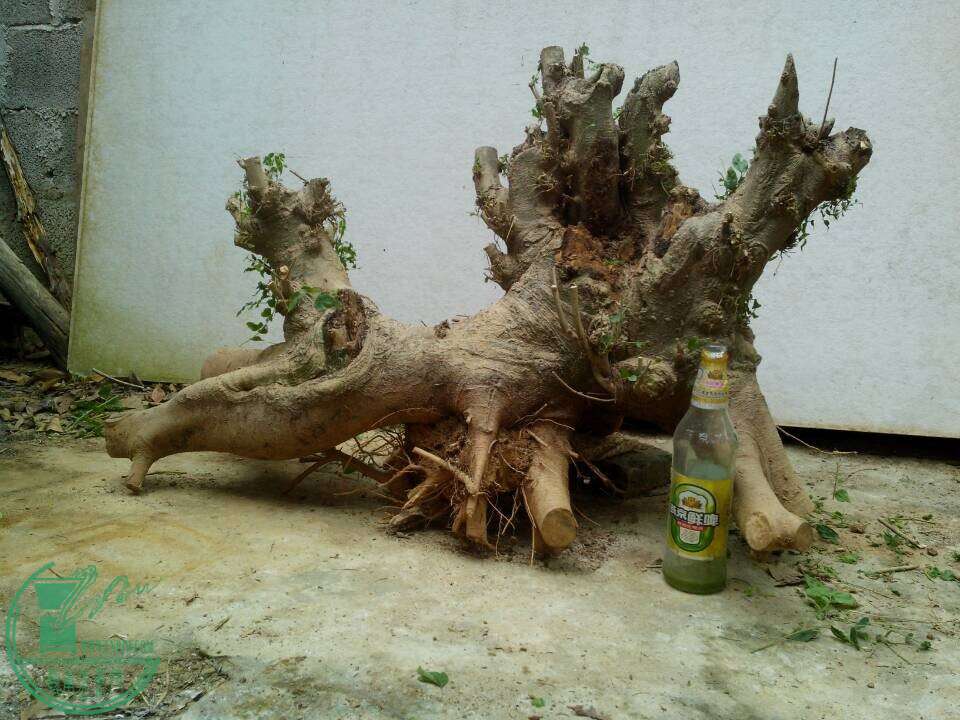 QQͼƬ20150105192655.jpg