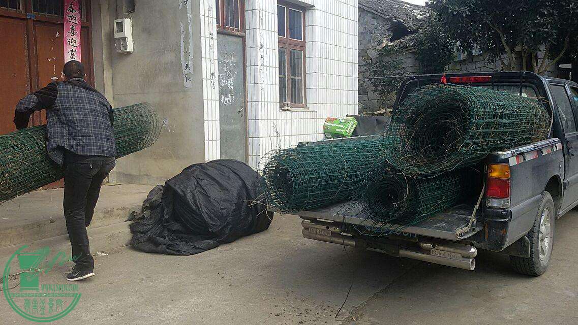 1420540737378.jpeg