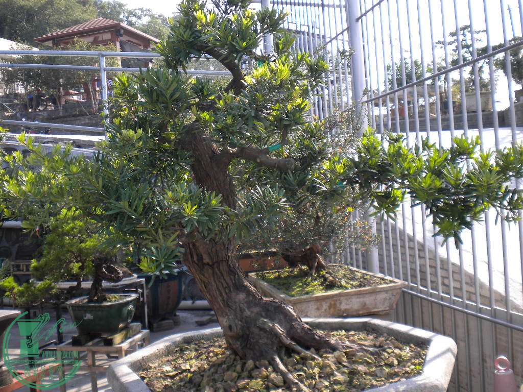 DSCN7418.JPG
