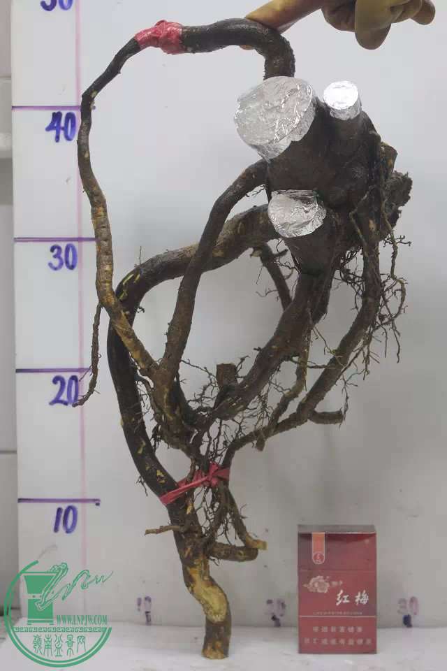 psb (12).jpg