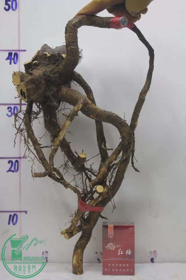psb (13).jpg