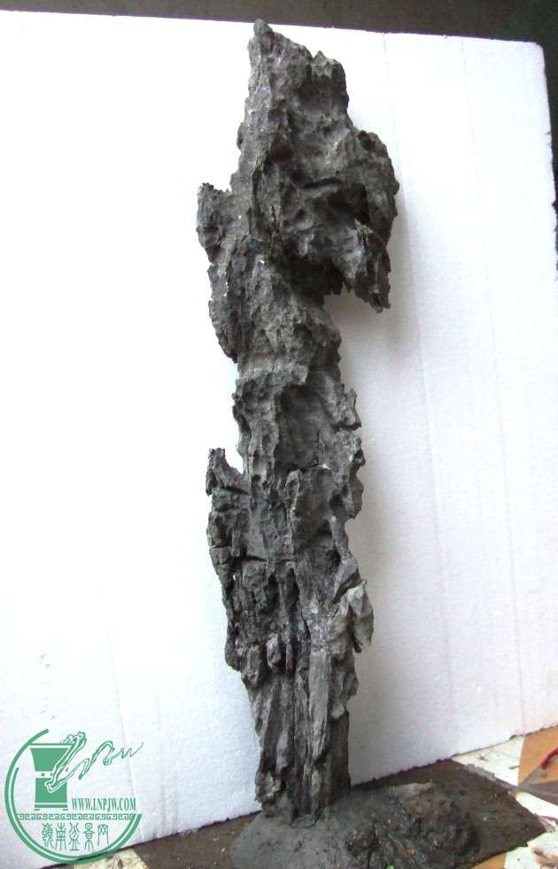 DSCF5731.JPG