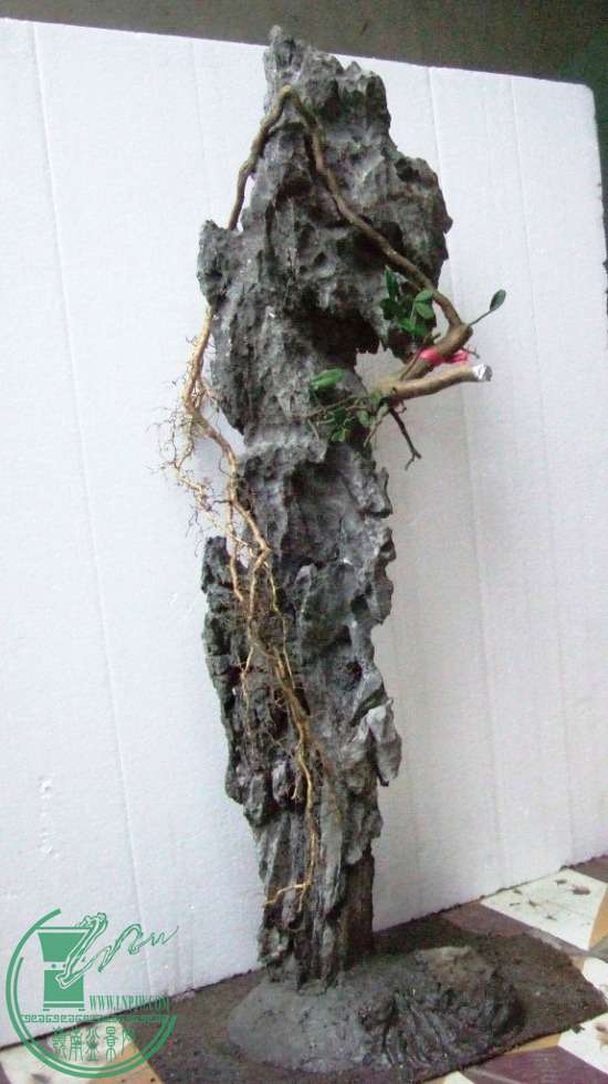 DSCF5727.JPG