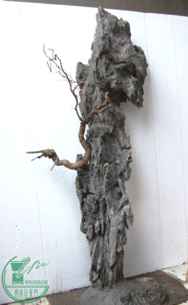 DSCF5733.JPG