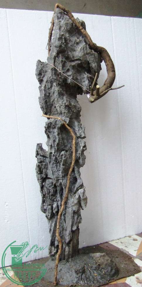 DSCF5739.JPG