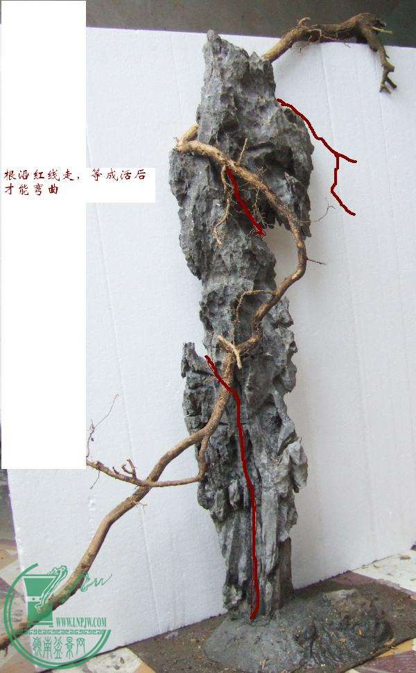 DSCF5743.JPG