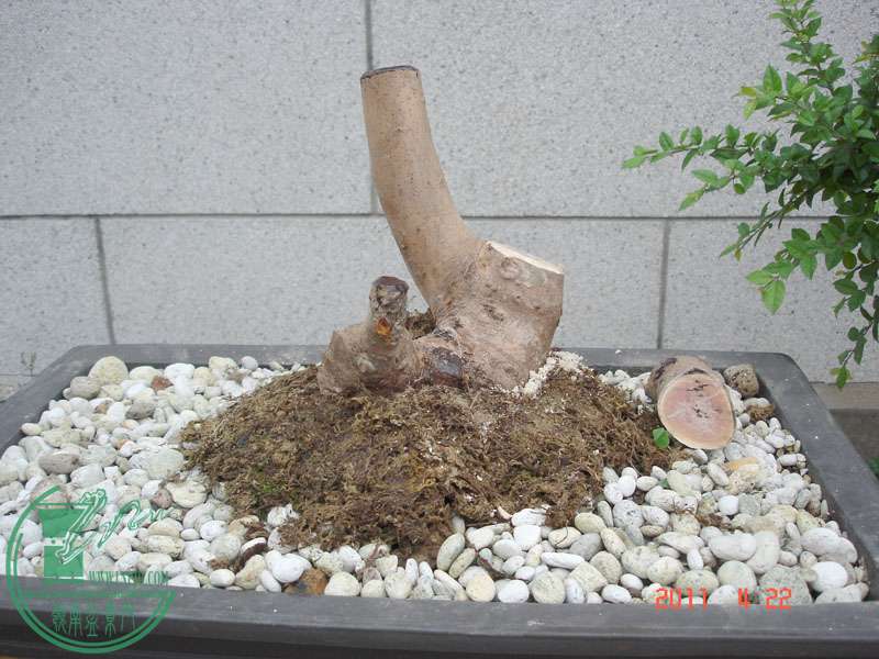 ţ3.jpg