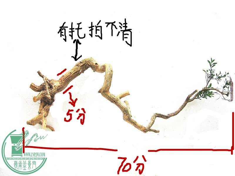 Ƭ 072__1.jpg