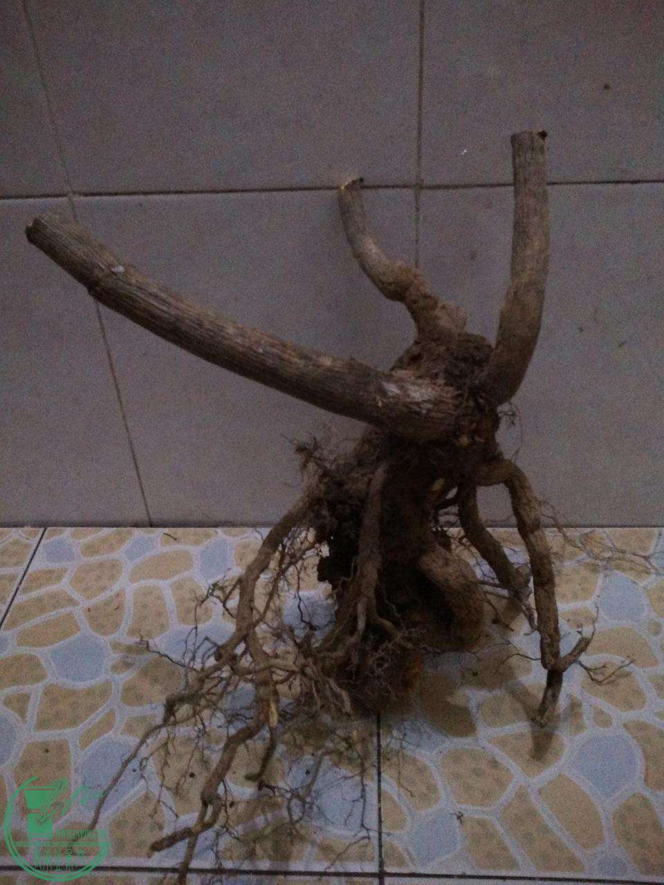 3.JPG