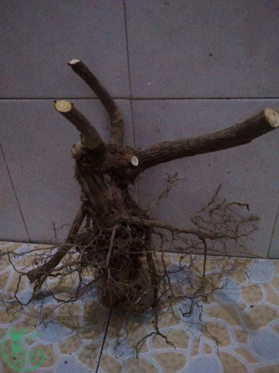 4.JPG