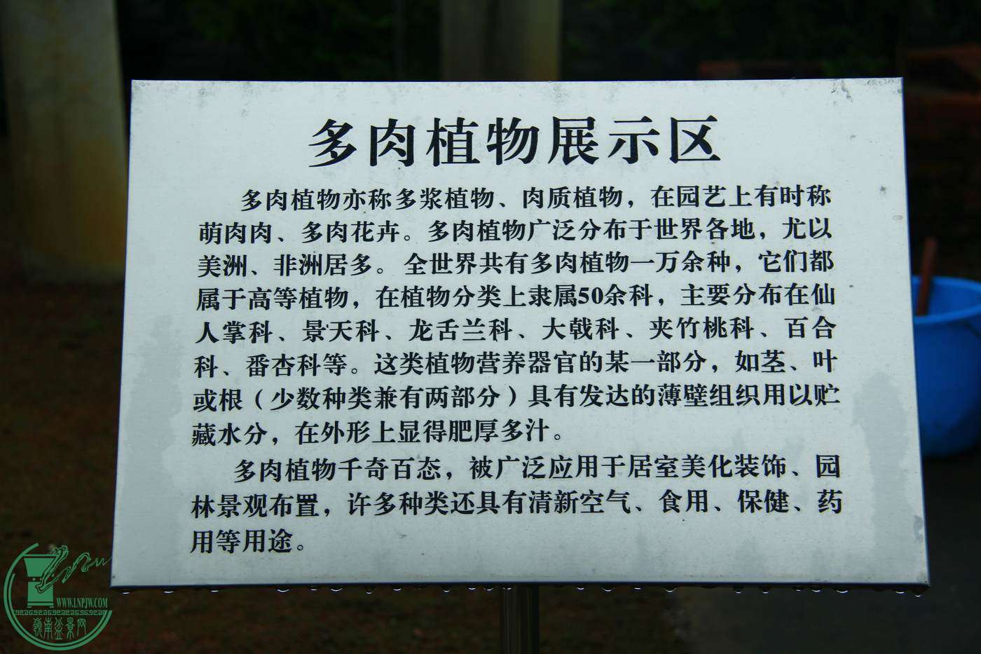 _MG_7939.jpg