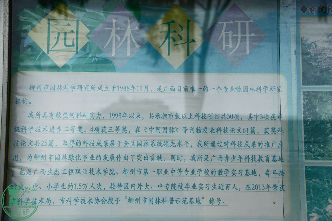_MG_7987.jpg